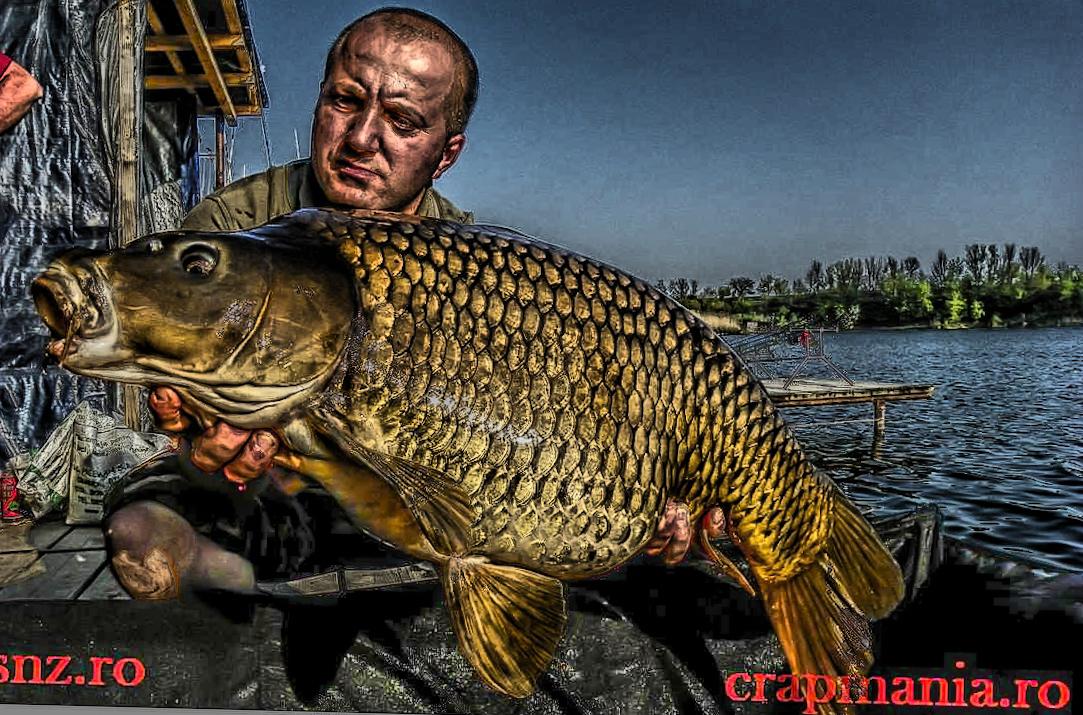 Trofeul Tancabesti (3) - 2013 - 1012348hdrmode2.jpg